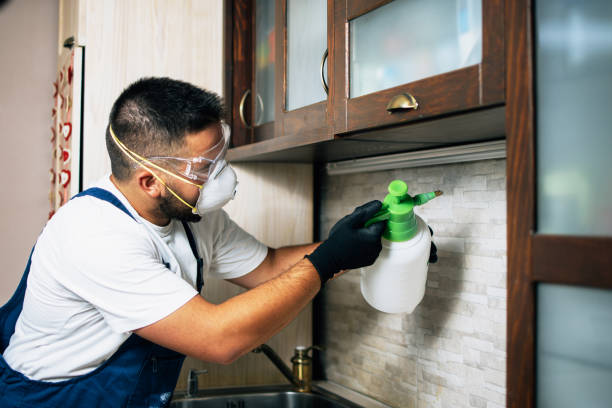 Best Affordable Pest Control Services  in Yoncalla, OR