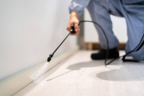 Professional Pest Control in Yoncalla, OR