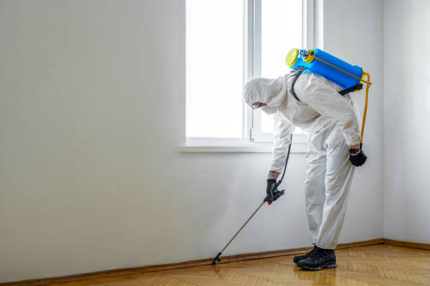 Best Cockroach Control Services  in Yoncalla, OR