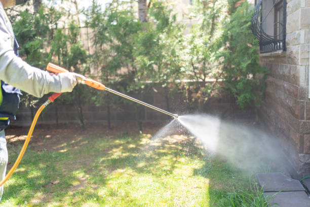Best Flea Control Services  in Yoncalla, OR