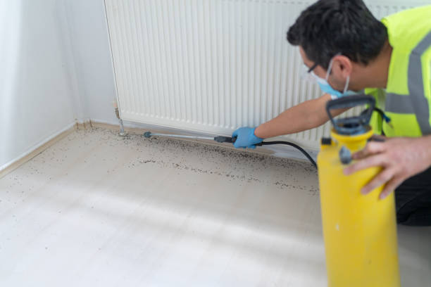 Best Flea Control Services  in Yoncalla, OR